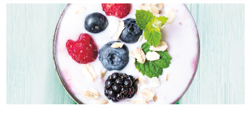 Yogurt berry880x400